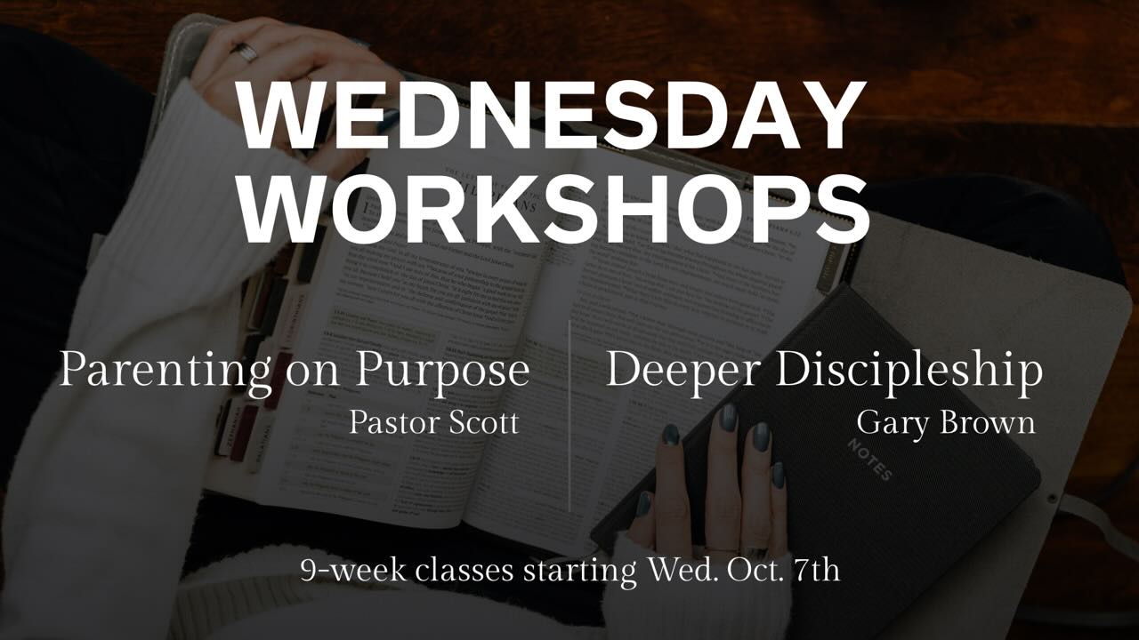 Wednesday Workshops